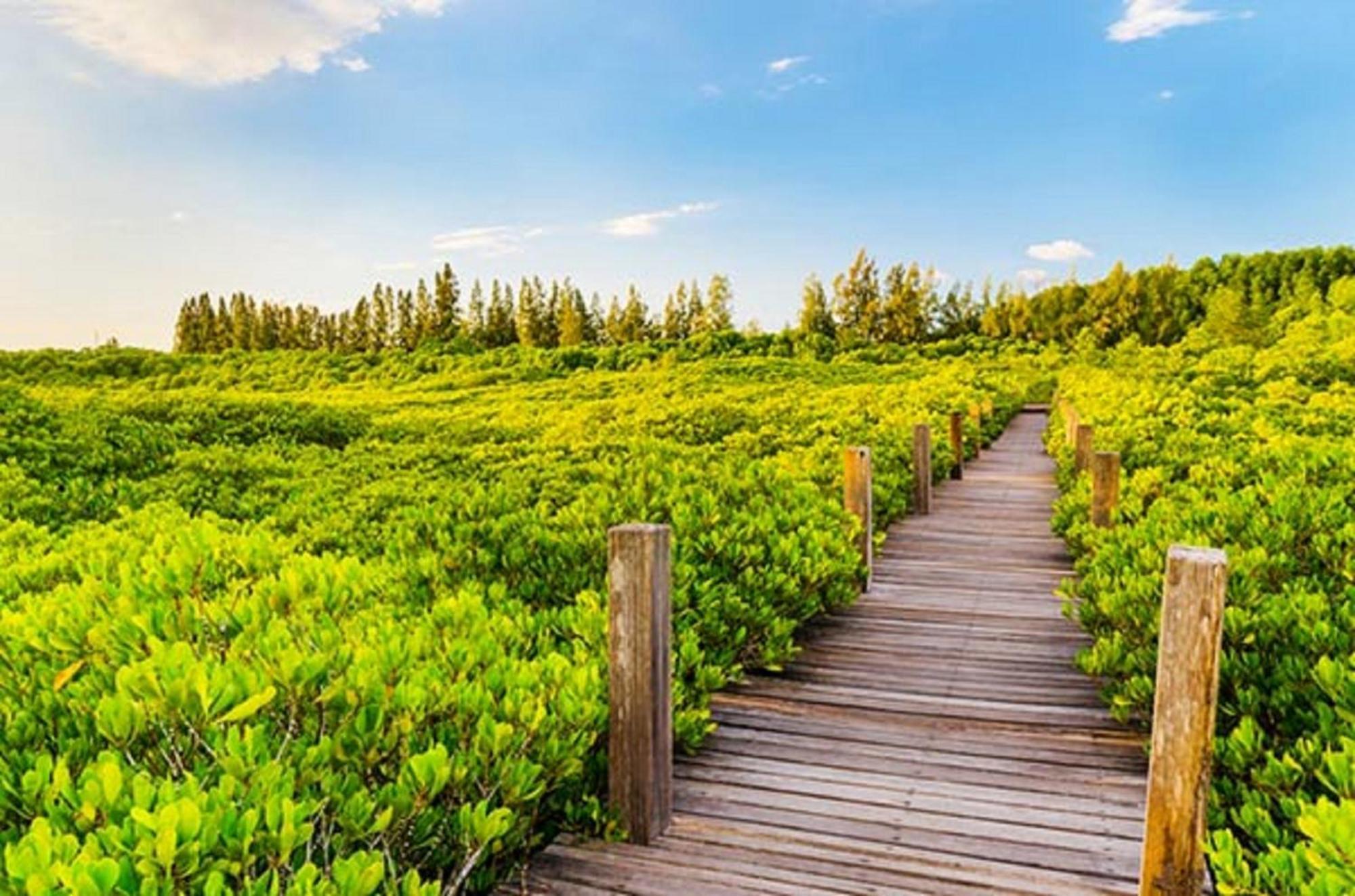 Holiday Inn & Suites Rayong City Centre By Ihg Eksteriør bilde